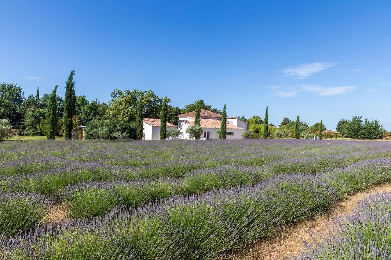***** Gasthuis La Bastide De Damien, 5 Clefs Demeure D'Exception Et Table Remarquable Dans Le Guide Teritoria, Jacuzzi Privatif, Cuisine Etoilee Dominique Frerard Hotel Aix-en-Provence Frankrijk