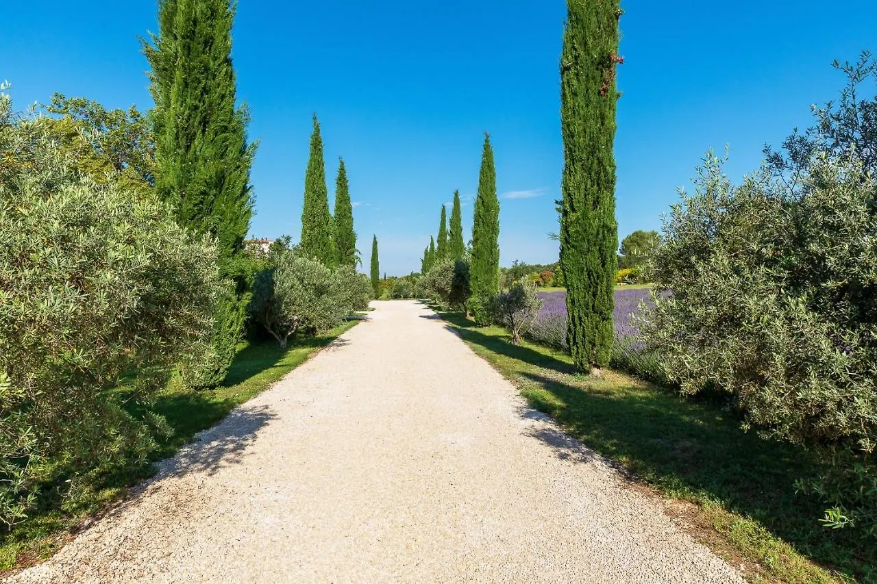 Gasthuis La Bastide De Damien, 5 Clefs Demeure D'Exception Et Table Remarquable Dans Le Guide Teritoria, Jacuzzi Privatif, Cuisine Etoilee Dominique Frerard Hotel Aix-en-Provence