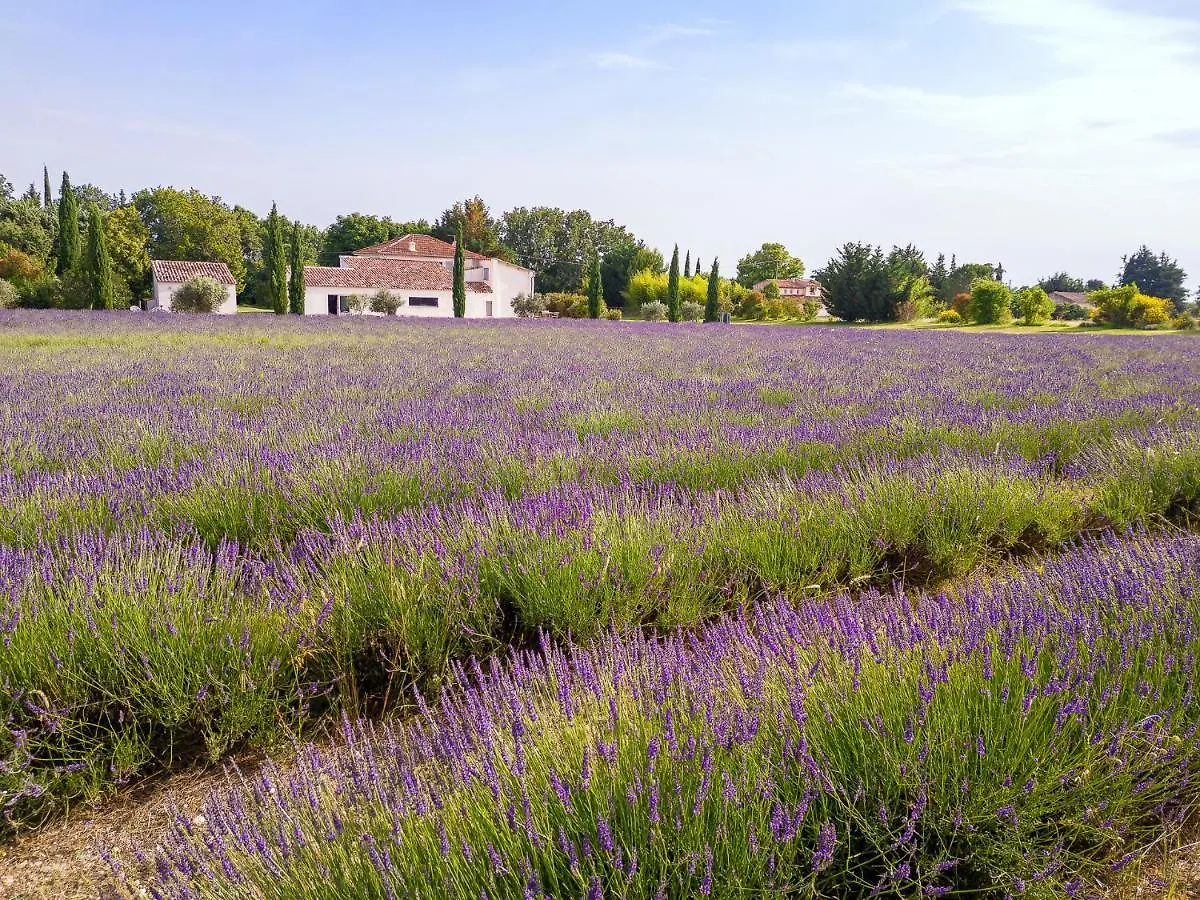 La Bastide De Damien, 5 Clefs Demeure D'Exception Et Table Remarquable Dans Le Guide Teritoria, Jacuzzi Privatif, Cuisine Etoilee Dominique Frerard Hotel Aix-en-Provence 5*,  Frankrijk