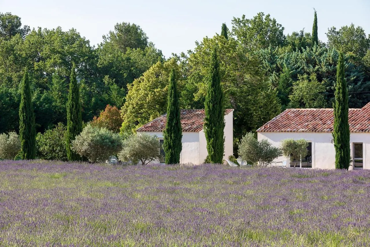 La Bastide De Damien, 5 Clefs Demeure D'Exception Et Table Remarquable Dans Le Guide Teritoria, Jacuzzi Privatif, Cuisine Etoilee Dominique Frerard Hotel Aix-en-Provence