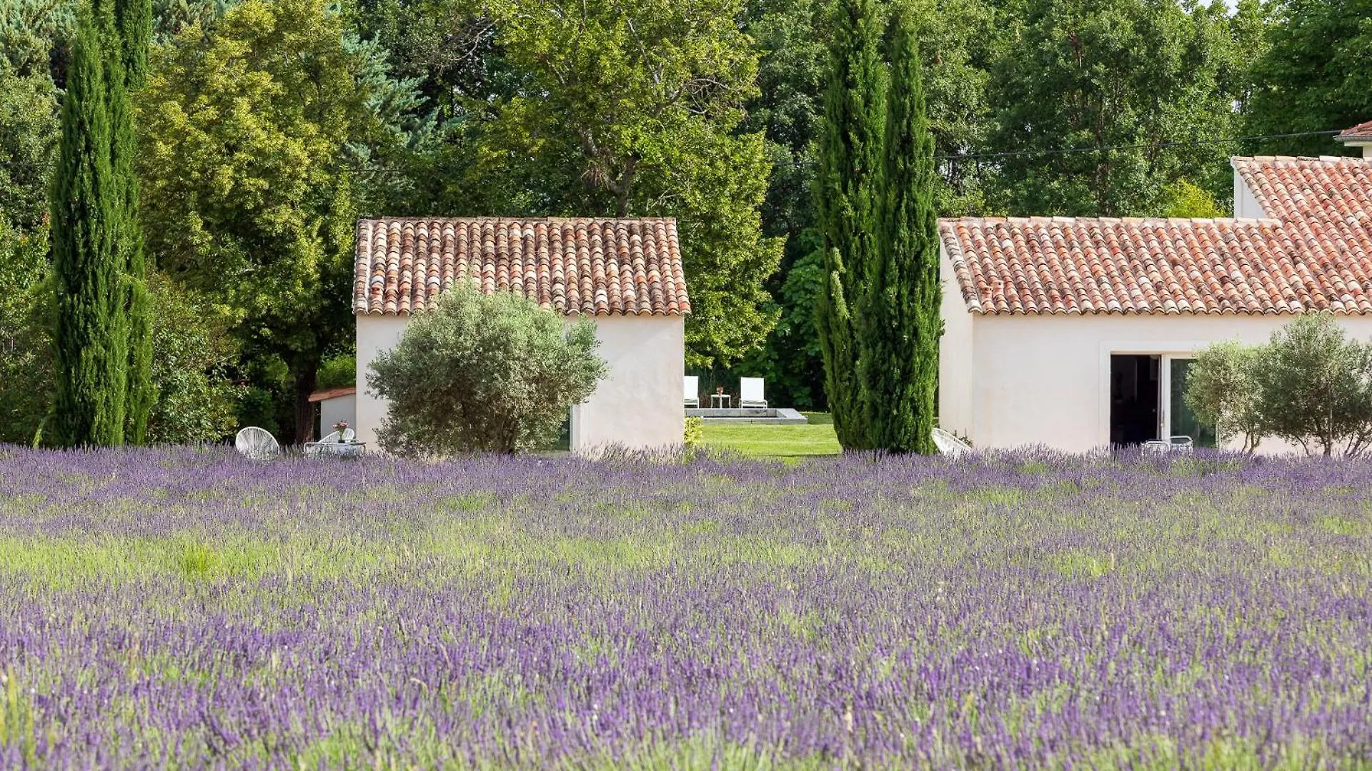 La Bastide De Damien, 5 Clefs Demeure D'Exception Et Table Remarquable Dans Le Guide Teritoria, Jacuzzi Privatif, Cuisine Etoilee Dominique Frerard Hotel Aix-en-Provence Gasthuis