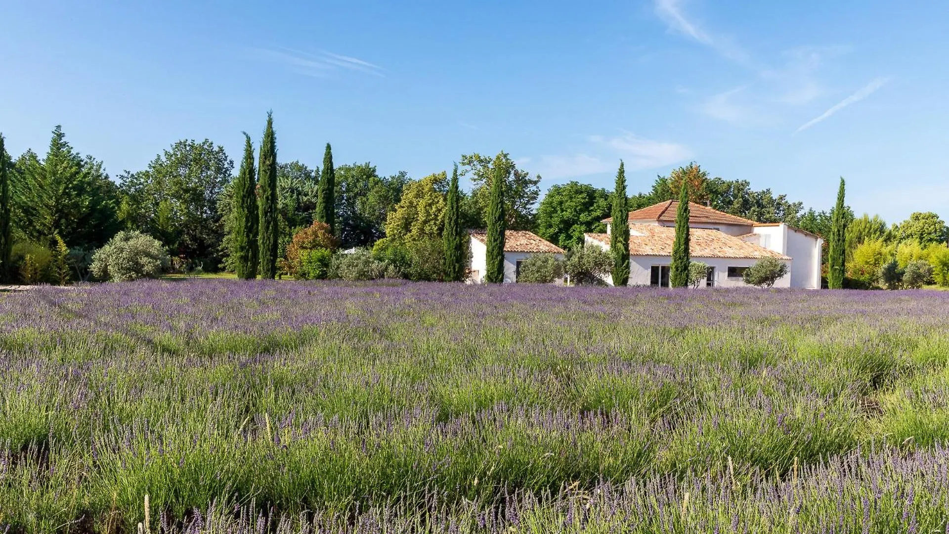 Gasthuis La Bastide De Damien, 5 Clefs Demeure D'Exception Et Table Remarquable Dans Le Guide Teritoria, Jacuzzi Privatif, Cuisine Etoilee Dominique Frerard Hotel Aix-en-Provence