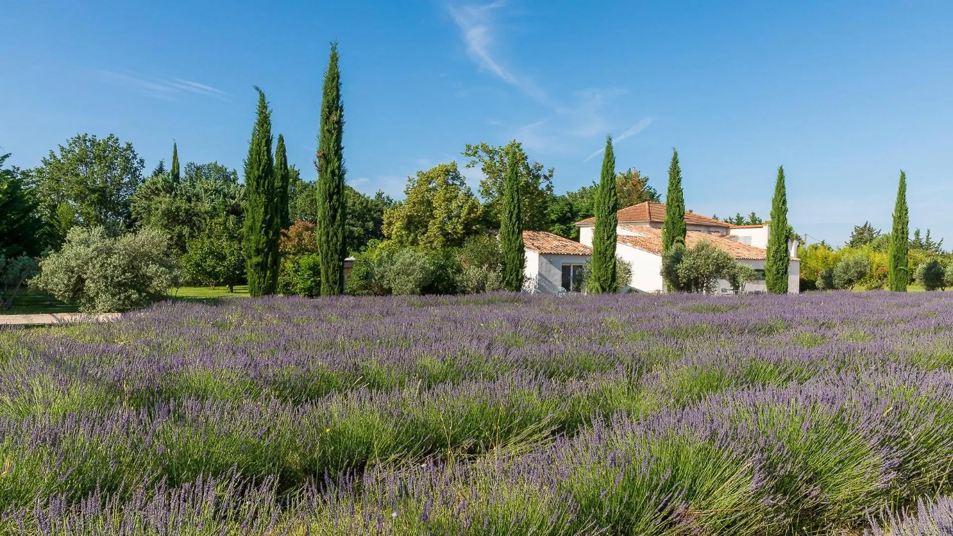 La Bastide De Damien, 5 Clefs Demeure D'Exception Et Table Remarquable Dans Le Guide Teritoria, Jacuzzi Privatif, Cuisine Etoilee Dominique Frerard Hotel Aix-en-Provence 5*,  Frankrijk