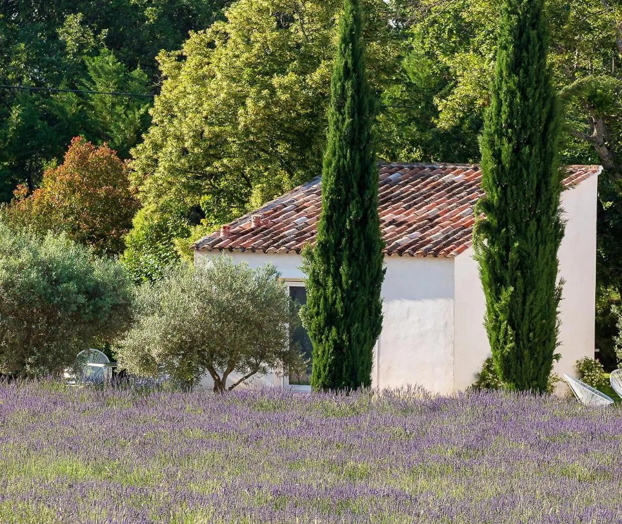 La Bastide De Damien, 5 Clefs Demeure D'Exception Et Table Remarquable Dans Le Guide Teritoria, Jacuzzi Privatif, Cuisine Etoilee Dominique Frerard Hotel Aix-en-Provence Gasthuis