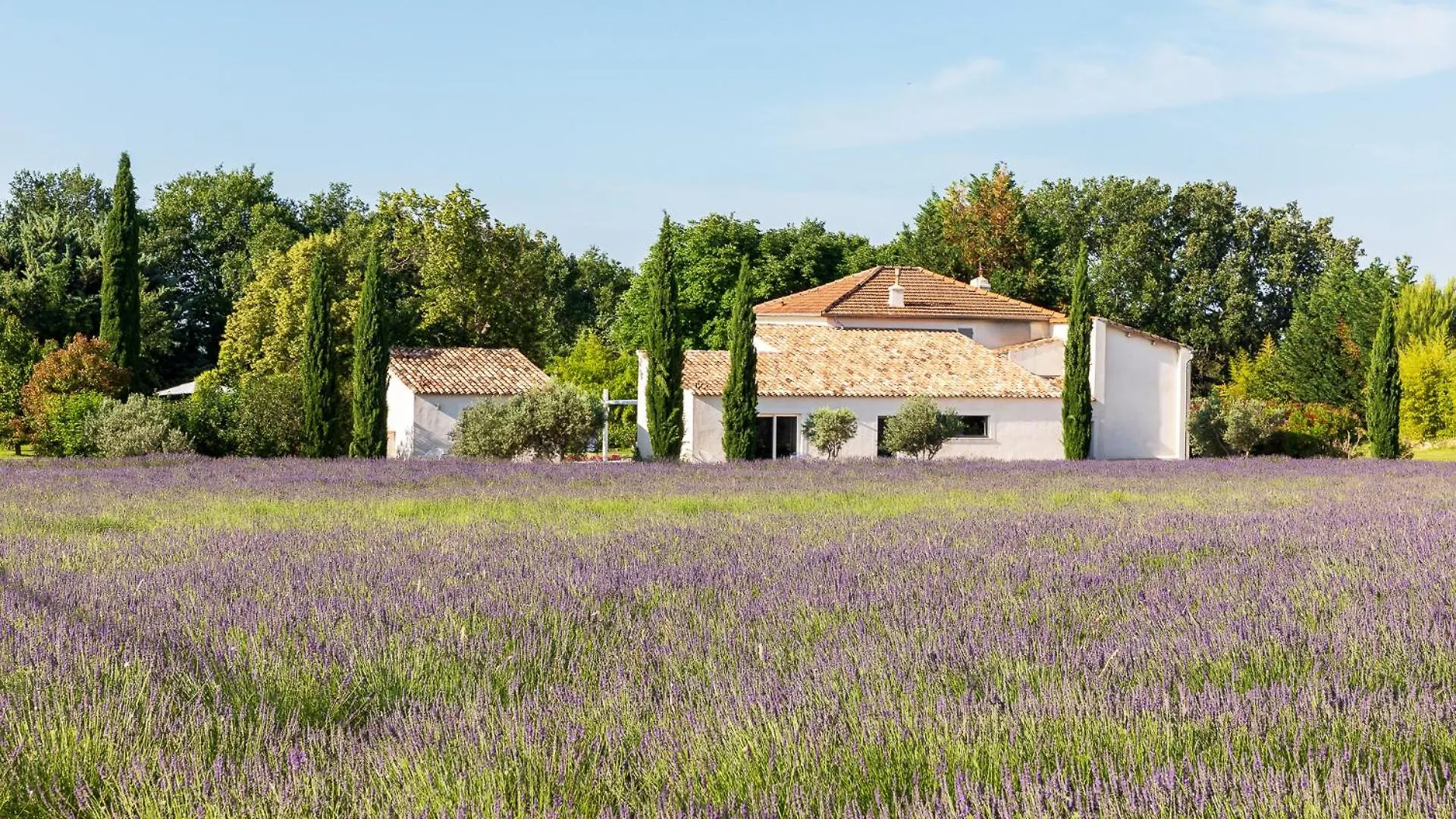 La Bastide De Damien, 5 Clefs Demeure D'Exception Et Table Remarquable Dans Le Guide Teritoria, Jacuzzi Privatif, Cuisine Etoilee Dominique Frerard Hotel Aix-en-Provence