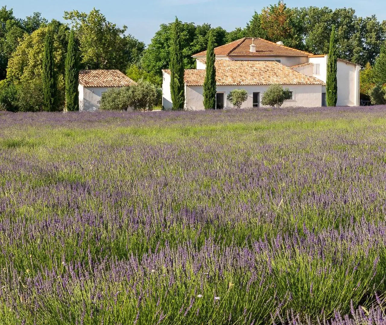 La Bastide De Damien, 5 Clefs Demeure D'Exception Et Table Remarquable Dans Le Guide Teritoria, Jacuzzi Privatif, Cuisine Etoilee Dominique Frerard Hotel Aix-en-Provence Frankrijk