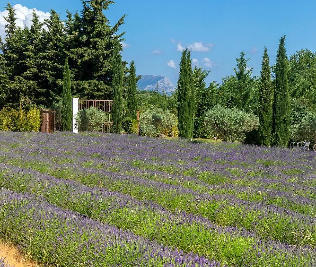 Gasthof CHAMBRE ROMANTIQUE, JACUZZI et LIT D'EXCEPTION Aix-en-Provence