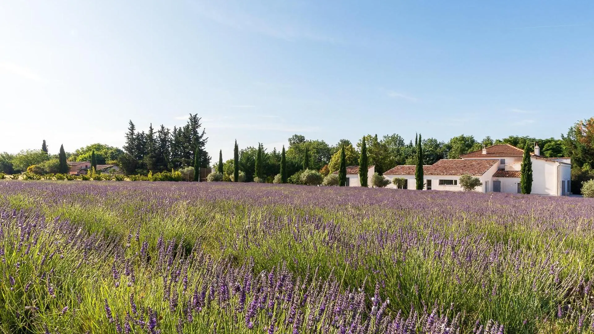 CHAMBRE ROMANTIQUE, JACUZZI et LIT D'EXCEPTION Aix-en-Provence Gasthof